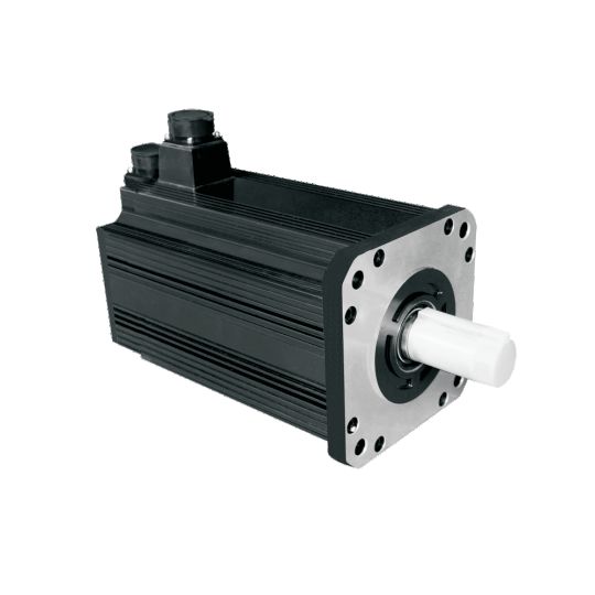 Magnus AC Servo Motor